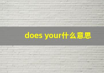 does your什么意思